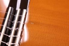 ASTURIAS アストリアス A15-10C (10弦ギター) 1987年製_9