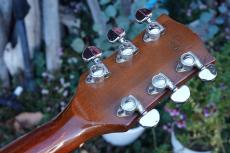 Gibson SG Special_14