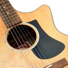 Eastman PCH1-GACE_11