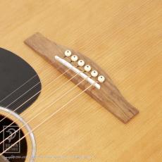 Eastman PCH1-GACE_12