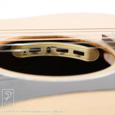 Eastman PCH1-GACE_15