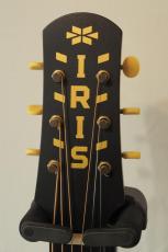 IRIS OG アディロンダックトップ_4