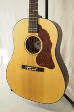 IRIS DF アディロンダックトップ with K&K pickup!_2