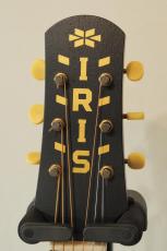 IRIS DF アディロンダックトップ with K&K pickup!_4