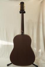 IRIS DF アディロンダックトップ with K&K pickup!_5