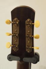 IRIS DF アディロンダックトップ with K&K pickup!_7