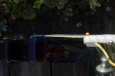 Gibson Tak Matsumoto LP Canary Yellow 2018_13