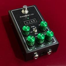 REVV Amplification G2 Anniversary 【限定モデル】【5周年記念の特別なサウンド】【オーバードライヴ】_4