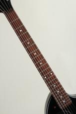 FERNANDES ZO-3 "Shadow SH EQ5"_5