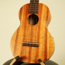 Kamaka HF-2 #250590【2025年製】【NEW】