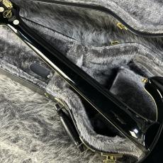 Epiphone Tak Matsumoto DC Custom 2010_8