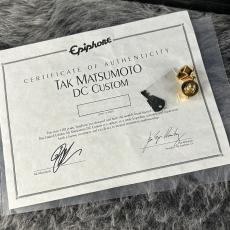Epiphone Tak Matsumoto DC Custom 2010_10