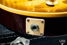 Gibson 50s Les Paul Standard Plus / 2006_9