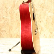 Gibson DOVE CSB 1964_4