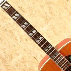 Gibson DOVE CSB 1964_6