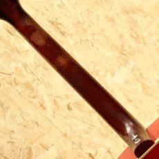 Gibson DOVE CSB 1964_7