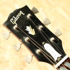 Gibson DOVE CSB 1964_8