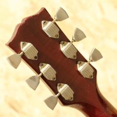 Gibson DOVE CSB 1964_9