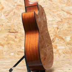 ASTURIAS Tree of Life H Custom "All Mahogany" 2024_5