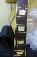 Tokai LS-1958 Neo Order Model_6