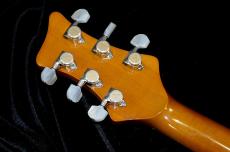 NO BRAND One-off Semi hollow model_6