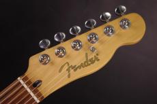 Fender Telecoustic_3