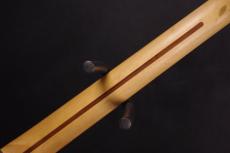 Fender Telecoustic_5