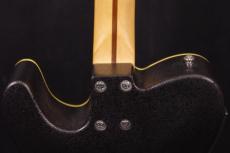 Fender Telecoustic_6