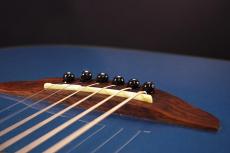 Fender Telecoustic_7