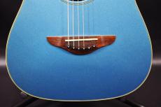 Fender Telecoustic_9