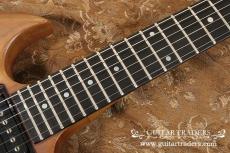 Gibson 1979 The SG_7