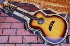 Takamine PT-07E