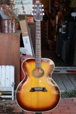 Takamine PT-07E_5