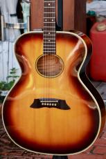 Takamine PT-07E_6