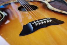 Takamine PT-07E_12
