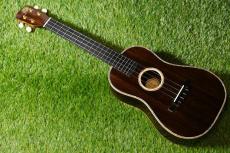 WEST FIELD GUITAR CRAFT Tenor【USED】_2