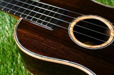 WEST FIELD GUITAR CRAFT Tenor【USED】_10