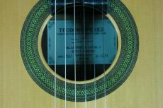 Teodoro Perez [テオドロ・ペレス] CONCIERTO/640mm　杉/中南米ローズウッド 大出血バーゲン!!