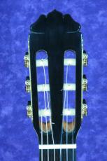 Teodoro Perez [テオドロ・ペレス] CONCIERTO/640mm　杉/中南米ローズウッド 大出血バーゲン!!_4