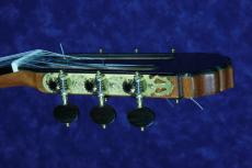 Teodoro Perez [テオドロ・ペレス] CONCIERTO/640mm　杉/中南米ローズウッド 大出血バーゲン!!_5