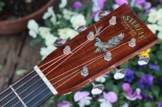 ASTURIAS Red Hawk 40th Limited model_9