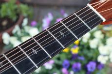 ASTURIAS Red Hawk 40th Limited model_10