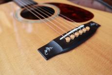 ASTURIAS Red Hawk 40th Limited model_13