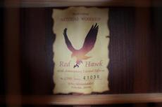 ASTURIAS Red Hawk 40th Limited model_17