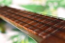 Kamaka SOPRANO PINE 【ブルー・クレスト・デカール 1920s】_7