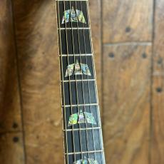 Takamine SA200 Custom Order Model ”Adirondack Spruce & Cocobolo”_2