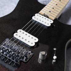 Charvel PRO-MOD SAN DIMAS STYLE 1 HH FR M Chameleon_3