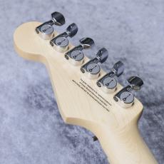 Charvel PRO-MOD SAN DIMAS STYLE 1 HH FR M Chameleon_9