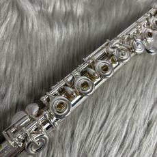 Altus A12RE/OFFSET_5