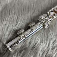 Altus A12RE/OFFSET_6